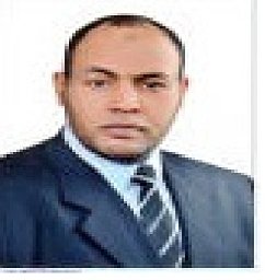 Prof. Abdelraheem M. Aly